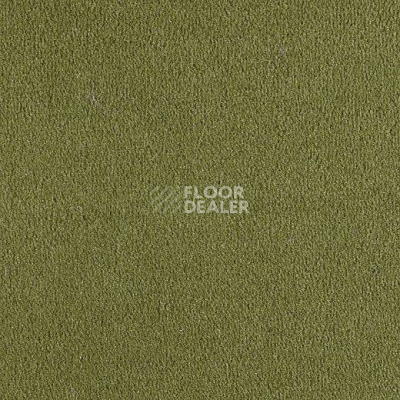 Ковролин Lano Bergamo Ber 0580 фото 1 | FLOORDEALER