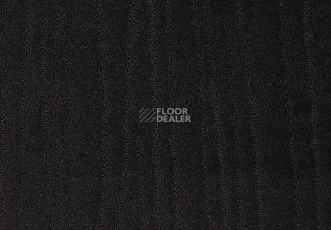 Ковролин Carve Linea 802 Ebony 2 фото 1 | FLOORDEALER