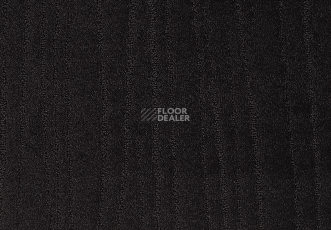 Carve Linea 802 Ebony 2 фото 1 | FLOORDEALER