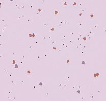 Линолеум Forbo Sphera Energetic 51234 vivid lilac фото 1 | FLOORDEALER