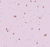 Линолеум Forbo Sphera Energetic 51234 vivid lilac фото 1 | FLOORDEALER