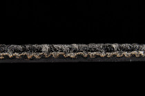 Escom CITY 350 фото 3 | FLOORDEALER