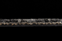 Escom CITY 350 фото 3 | FLOORDEALER