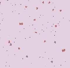 Forbo Sphera Energetic 51234 vivid lilac фото 1 | FLOORDEALER