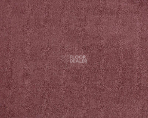 Ковролин Lano Lior 120 Coral фото 1 | FLOORDEALER