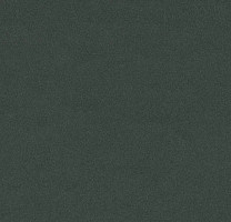 Линолеум Forbo Furniture Linoleum 4174 conifer фото 1 | FLOORDEALER