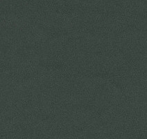 Линолеум Forbo Furniture Linoleum 4174 conifer фото 1 | FLOORDEALER