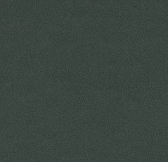 Линолеум Forbo Furniture Linoleum 4174 conifer фото 1 | FLOORDEALER