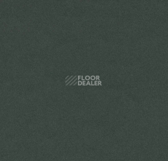 Линолеум Forbo Furniture Linoleum 4174 conifer фото 1 | FLOORDEALER