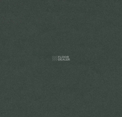 Forbo Furniture Linoleum 4174 conifer фото 1 | FLOORDEALER