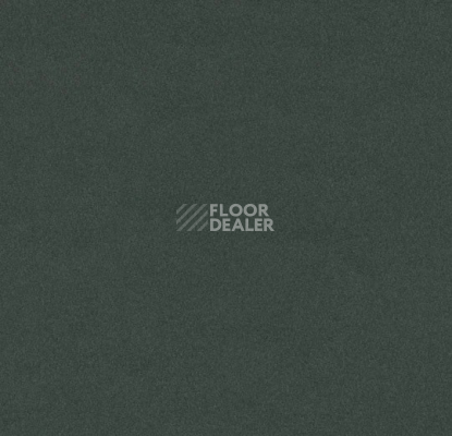 Линолеум Forbo Furniture Linoleum 4174 conifer фото 1 | FLOORDEALER