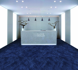 Mistral MS04 фото 5 | FLOORDEALER