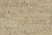 Пробковое покрытие Cork Pro замковое Linea Vanilla фото 1 | FLOORDEALER