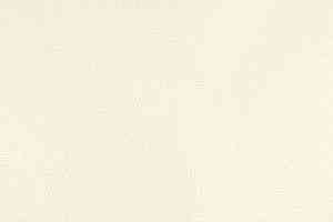 Ковролин Big Nobless 305 фото  | FLOORDEALER