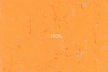 Линолеум Forbo Marmoleum Solid Concrete 3738-373835 orange glow фото 1 | FLOORDEALER
