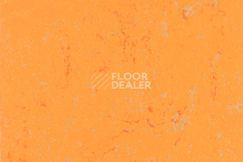 Линолеум Forbo Marmoleum Solid Concrete 3738-373835 orange glow фото 1 | FLOORDEALER