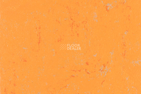 Линолеум Forbo Marmoleum Solid Concrete 3738-373835 orange glow фото 1 | FLOORDEALER