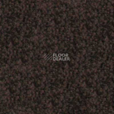 Ковролин Abracadabra Beaulieu of America 20 фото 1 | FLOORDEALER