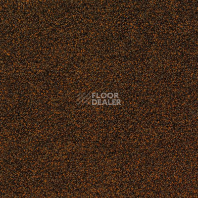 Ковровая плитка Desso Arcade Arcade B023 2051 фото 1 | FLOORDEALER