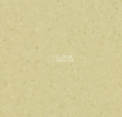 Линолеум Forbo Sphera Element 50064 light moss фото 1 | FLOORDEALER