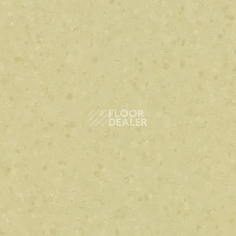 Линолеум Forbo Sphera Element 50064 light moss фото 1 | FLOORDEALER