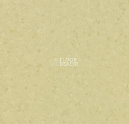 Линолеум Forbo Sphera Element 50064 light moss фото 1 | FLOORDEALER