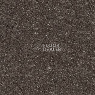 Ковролин AW Sensation 43 фото 1 | FLOORDEALER