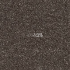 Ковролин AW Sensation 43 фото 1 | FLOORDEALER