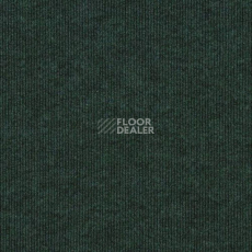 Ковролин Sintelon Ekvator 54753 фото 1 | FLOORDEALER