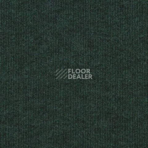 Ковролин Sintelon Ekvator 54753 фото 1 | FLOORDEALER