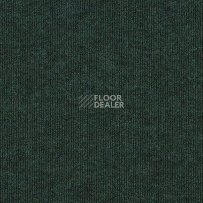 Ковролин Sintelon Ekvator 54753 фото 1 | FLOORDEALER