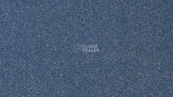 Ковролин Vorwerk Passion 1006 Vorwerk 3n76 фото 1 | FLOORDEALER