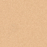 Линолеум Tarkett Primo Plus 304 фото 1 | FLOORDEALER