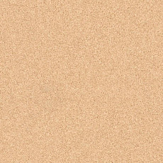 Линолеум Tarkett Primo Plus 304 фото 1 | FLOORDEALER