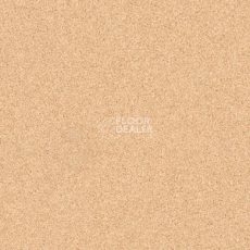 Линолеум Tarkett Primo Plus 304 фото 1 | FLOORDEALER