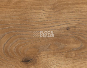 My Step Mega 12 ms 2912 Дуб Кёльн фото 2 | FLOORDEALER