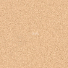 Tarkett Primo Plus 304 фото 1 | FLOORDEALER