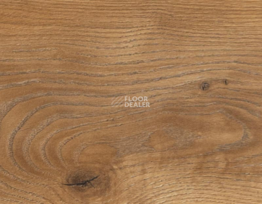 Ламинат My Step Mega 12 ms 2912 Дуб Кёльн фото 2 | FLOORDEALER