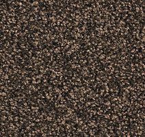 Ковролин Balsan Script 790 фото 1 | FLOORDEALER