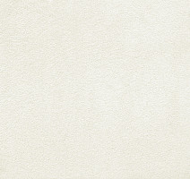 Ковролин AW Silk 04 фото 1 | FLOORDEALER