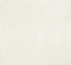 Ковролин AW Silk 04 фото 1 | FLOORDEALER