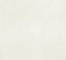 Ковролин AW Silk 04 фото 1 | FLOORDEALER