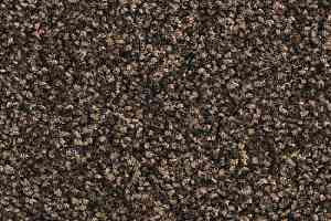 Ковролин Balsan Script 790 фото  | FLOORDEALER