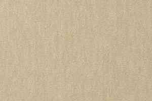 Ковролин Vorwerk Passion 1002 Vorwerk 8e76 фото  | FLOORDEALER