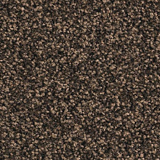 Ковролин Balsan Script 790 фото 1 | FLOORDEALER