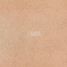 Линолеум Grabo Terrana Top Extra 4264-253 фото 1 | FLOORDEALER