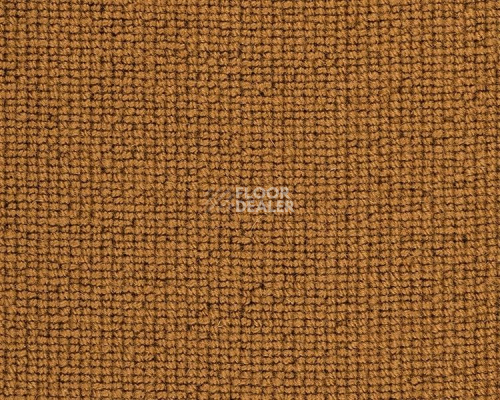 Ковролин Best Wool Hospitality 1 h 1450 - f 40000 фото 1 | FLOORDEALER