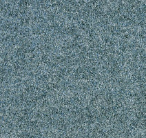 Ковролин Forbo Forte 96007 Glacier фото 1 | FLOORDEALER