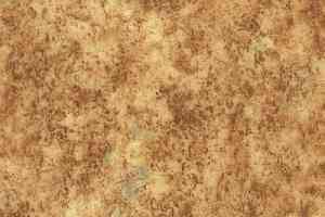 Линолеум Novoflor Standard 3100_11 фото  | FLOORDEALER