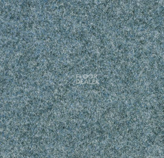Ковролин Forbo Forte 96007 Glacier фото 1 | FLOORDEALER